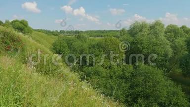 第二次世界大战灰烬上的大片杂草。 俯视图